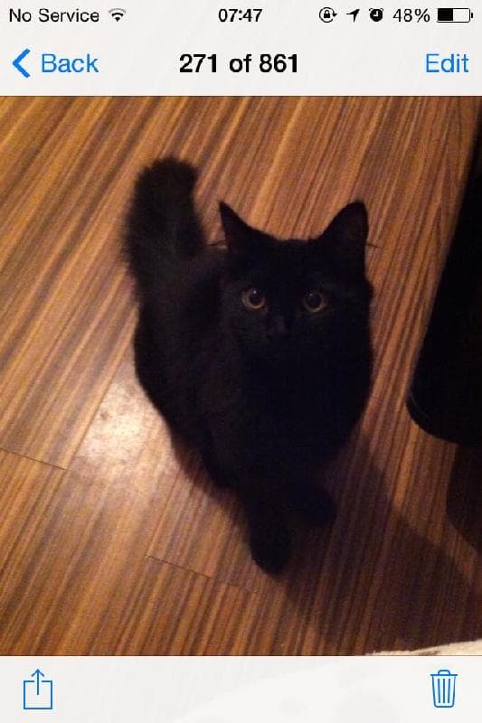 Lost — Pilsley S45 8EG