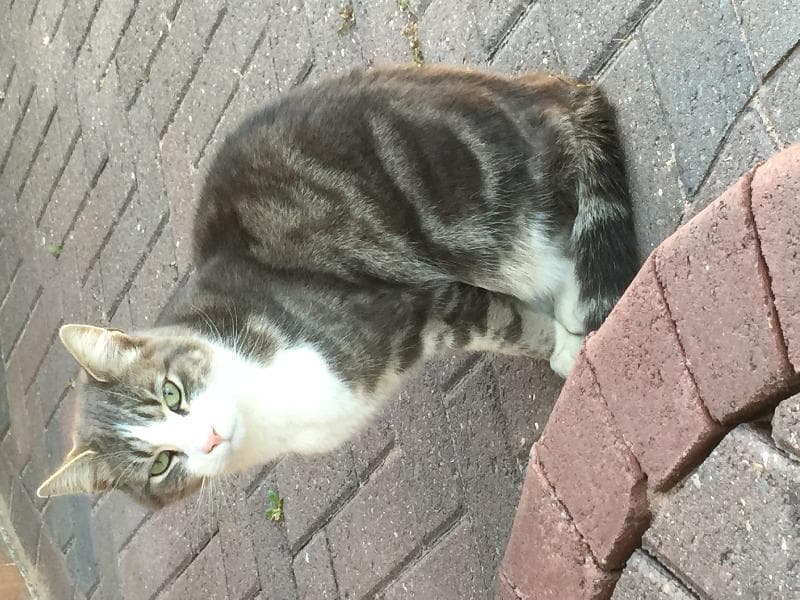 Found — TS26 0AZ Hartlepool