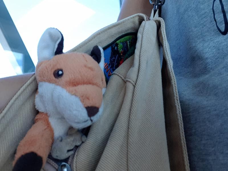 Lost — Boston Logan airport
