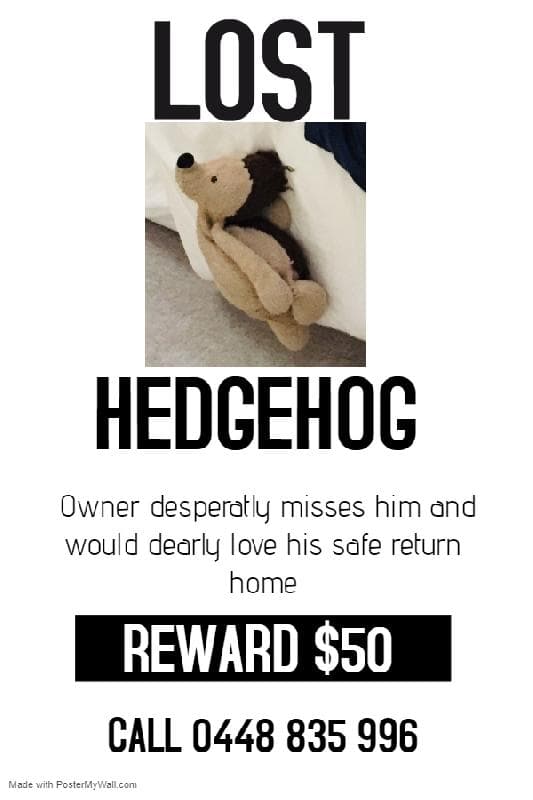 Lost — Victoria Parade, Collingwood, Victoria, Australia