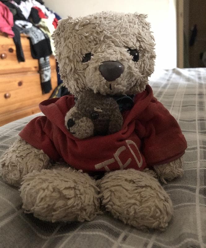 Lost — Ferry Meadows, Peterborough 