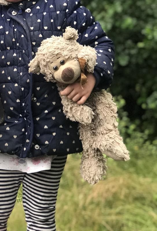 Lost — Scottish owl Centre Whitburn, Bathgate, Scotland