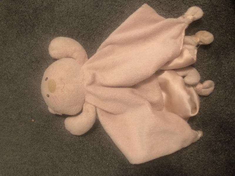 Lost — Perth, Scotland