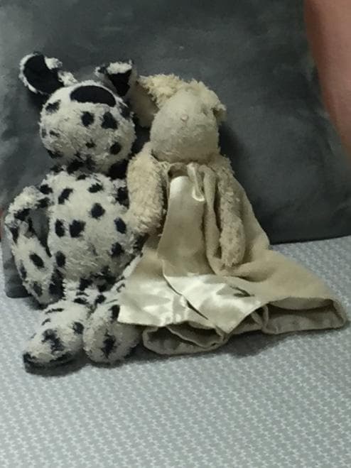 Lost — Stanstead airport/Barcelona airport/Lloret de mar