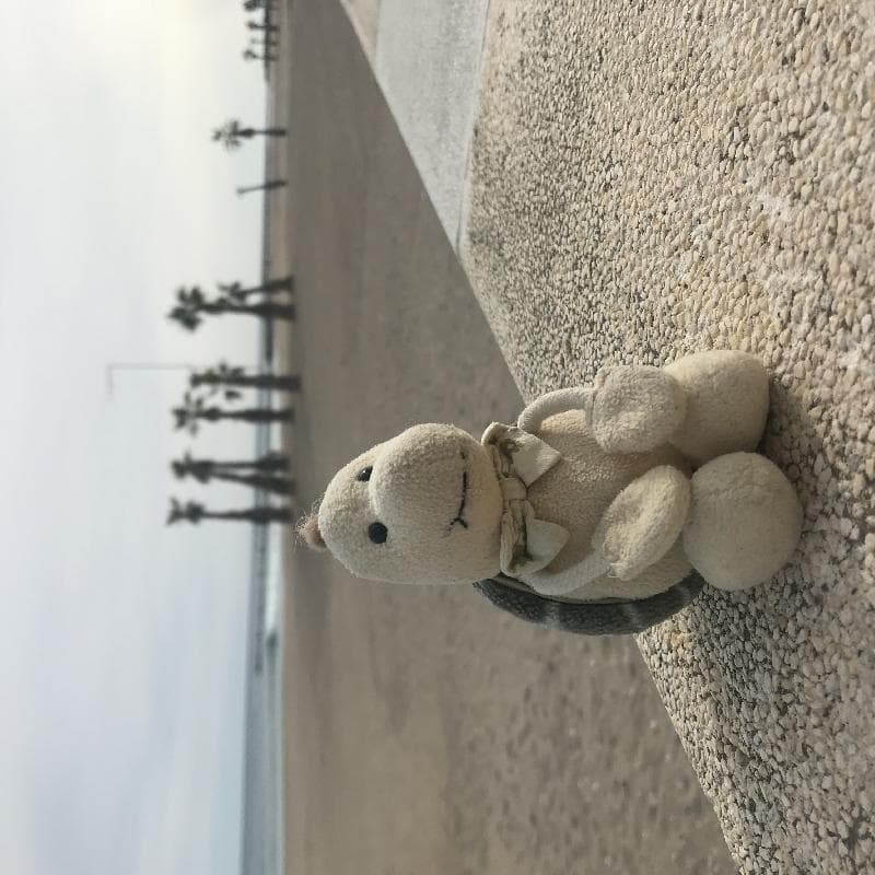 Lost — Calle santo domingo, 03501 Benidorm, Alicante, Spain
