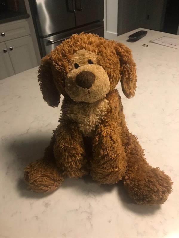 Found — Grand Haven, Michigan