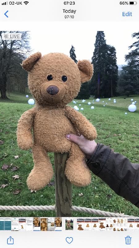 Lost — Andover Hampshire 