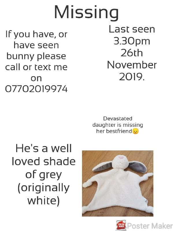 Lost — Millstrood Road, Whitstable ct5. 