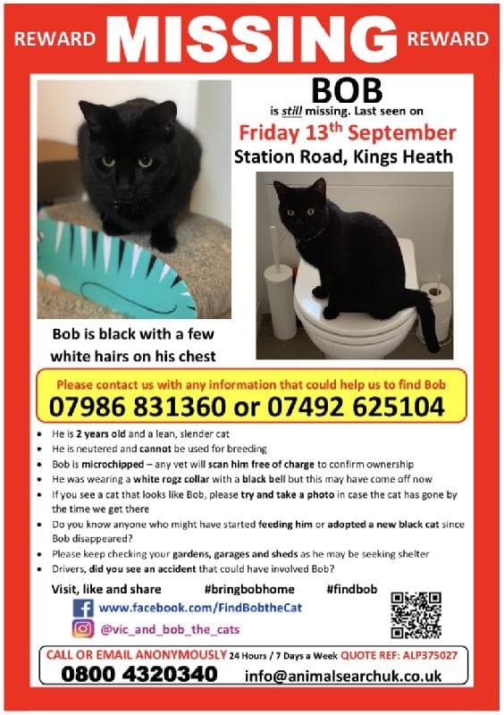 Lost — Station Road, Kings Heath, Birmingham, B14 7TF