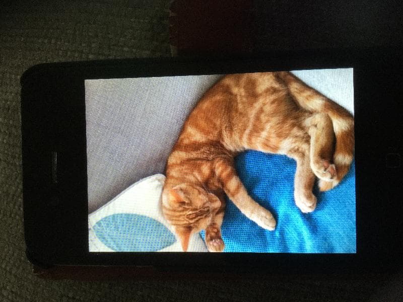 Lost — Soke road rg7 2pb