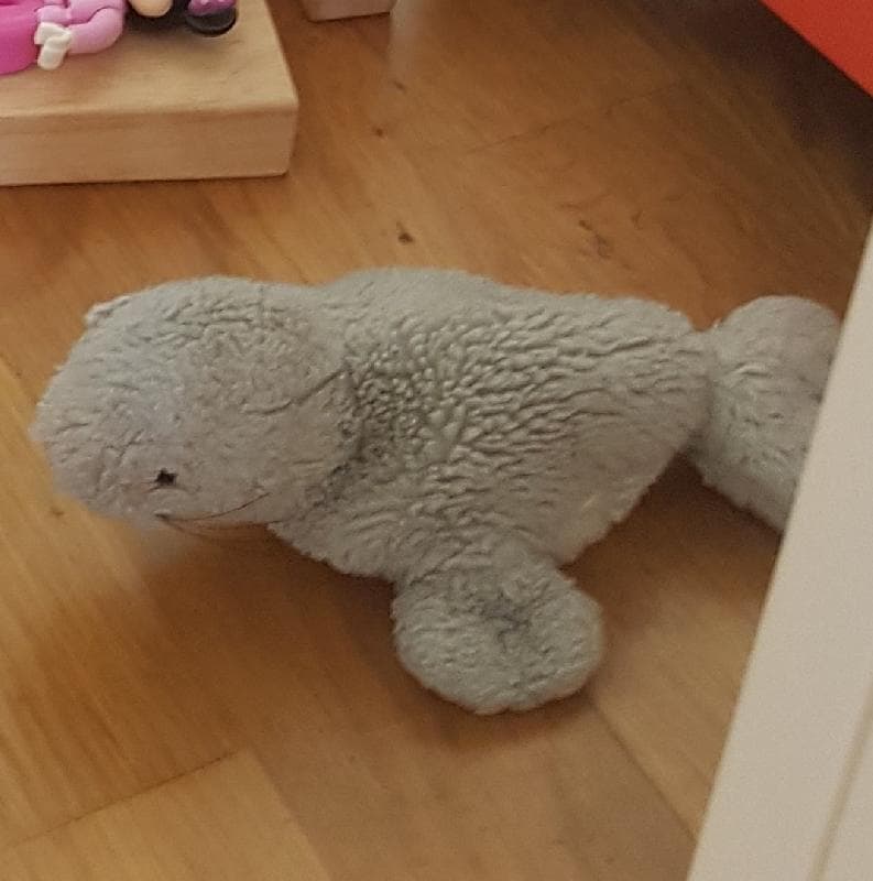 Lost — Bedmnster Bristol