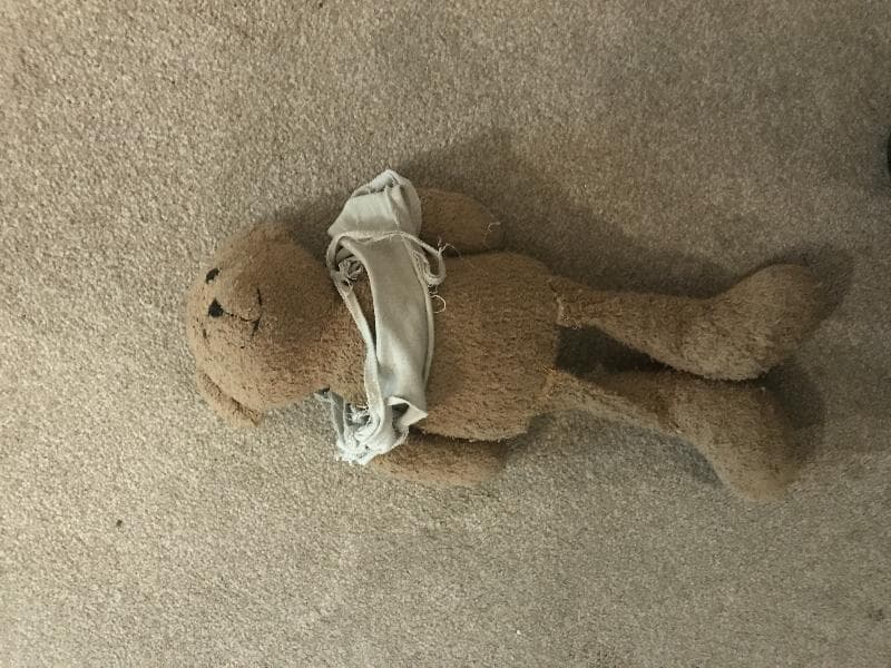 Lost — Minster, Thanet, Kent UK