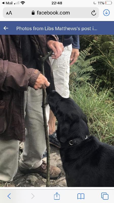 Lost — Newbury tothill services