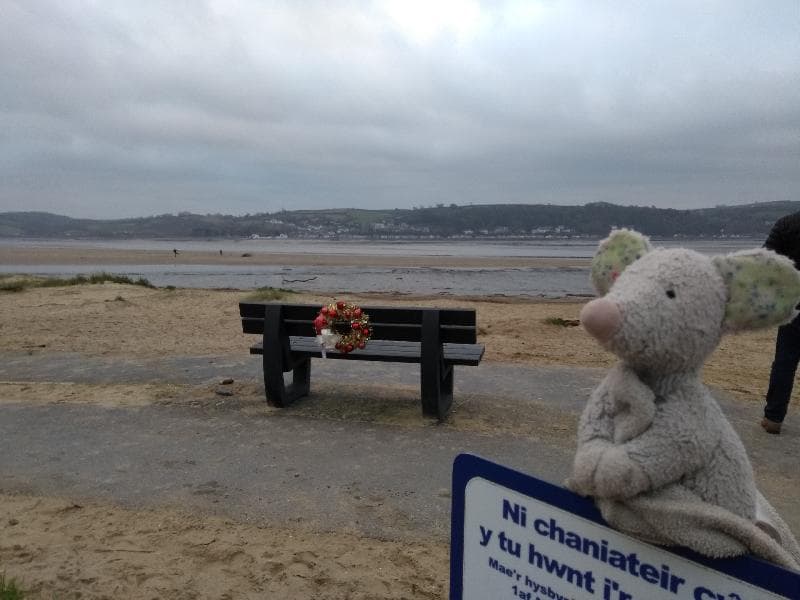 Found — Llansteffan beach Wales