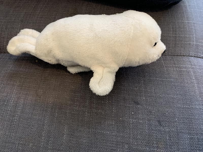 Found — Meadowhall Orange Car Park bear Oasis food court 