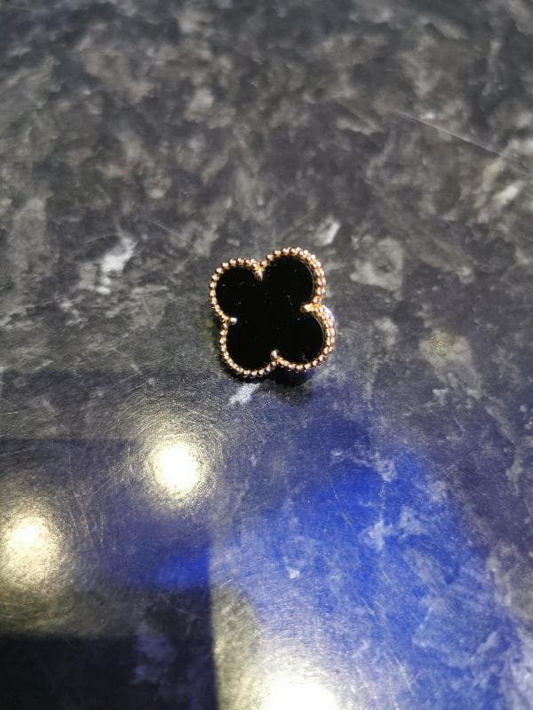 Lost — Oxford St, parklane, Hyde Park 