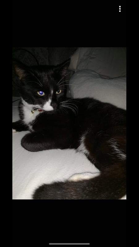 Lost — Newcastle, Walker ne6