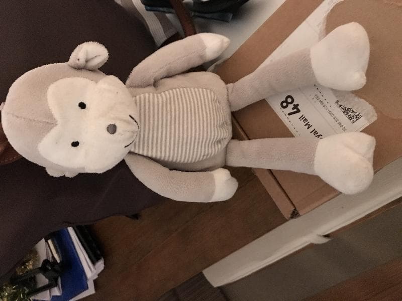 Lost — Upper Richmond Road or Richmond town xentre