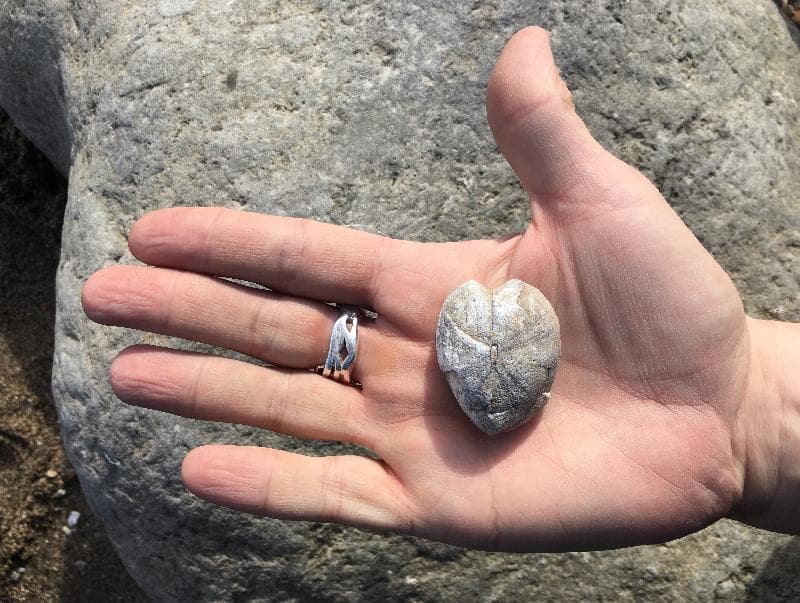 Lost — Beach between Lyme Regis and Charmouth