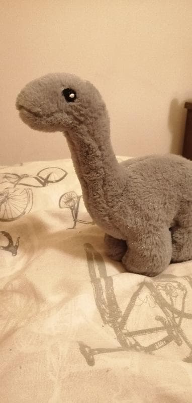 Found — The White Swan, Islington, London