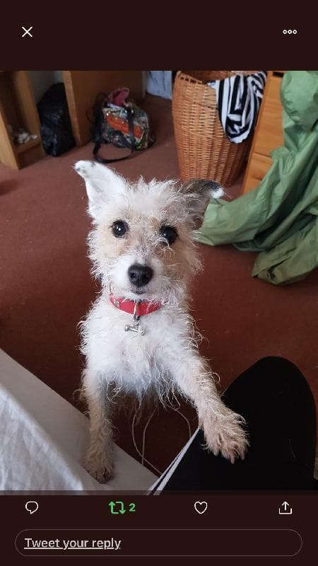 Lost — Potters bar