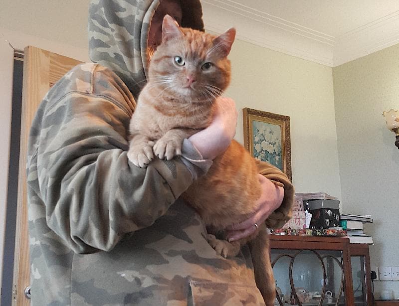 Found — BT546RH