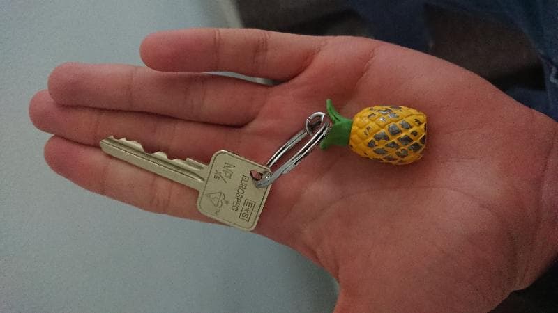 Found — Richmond Park, surrey