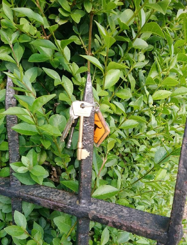 Found — Townley Rd, london