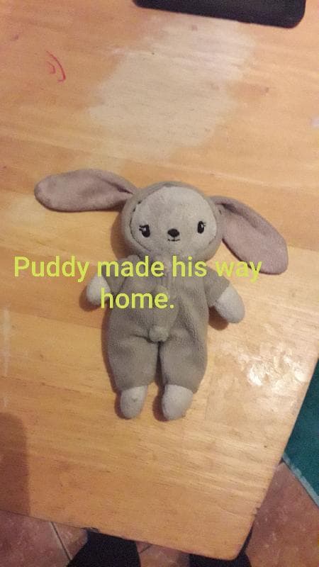 Lost — Portarlington laois