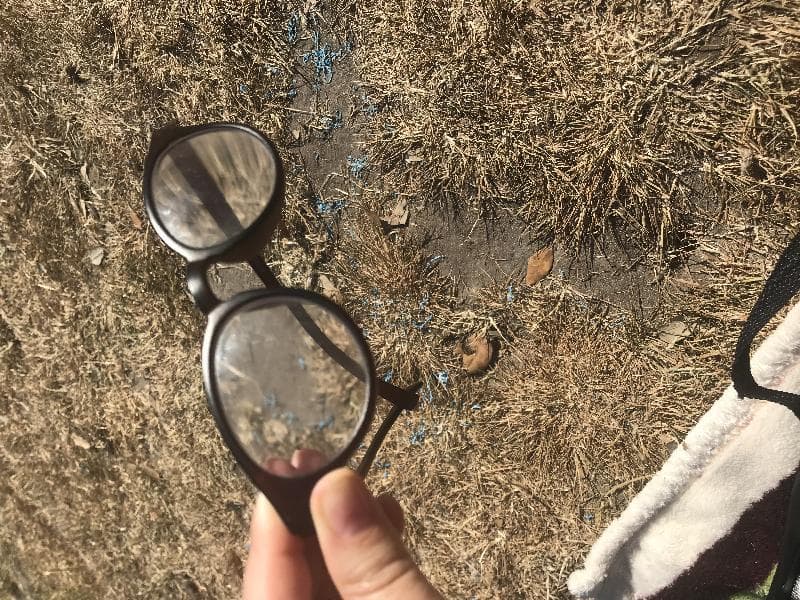 Found — Greenwich Park