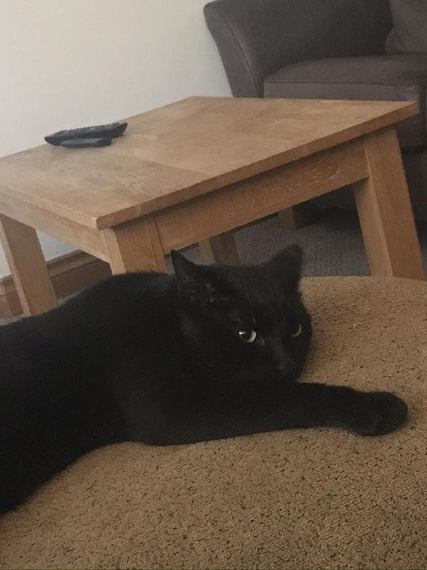 Lost — Whatlington East Sussex 