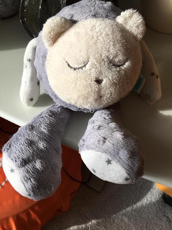 Found — Frinton on sea essex