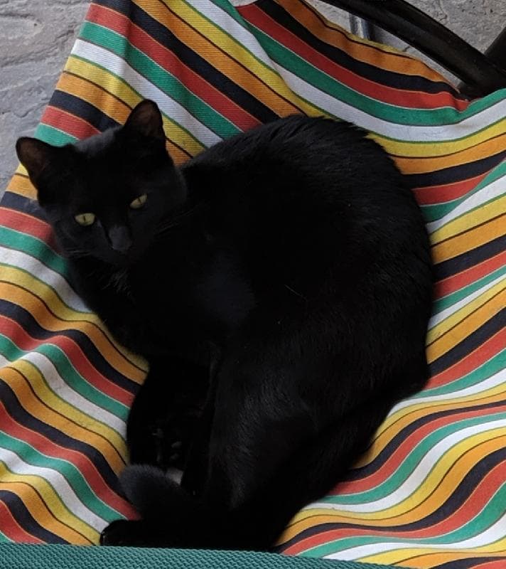 Lost — Estuary park combwich