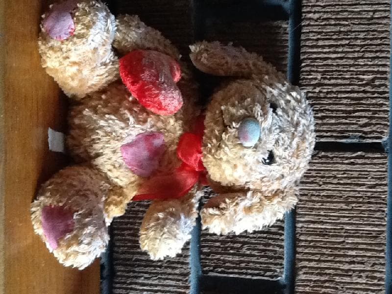 Found — Sneyd Hill Park Stoke on Trent