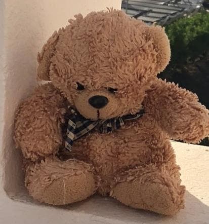 Lost — Corralejo or Fuerteventura airport