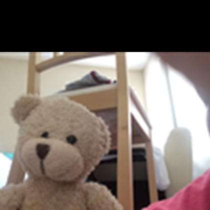 Lost — 8181 Fannin St, Houston, TX 77054