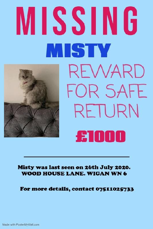 Lost — WOODHOUSE LANE, WIGAN