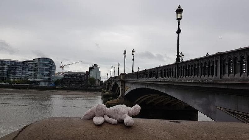 Found — Beside Battersea Bridge