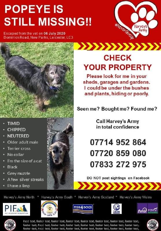 Lost — Dominion road, Leicester 