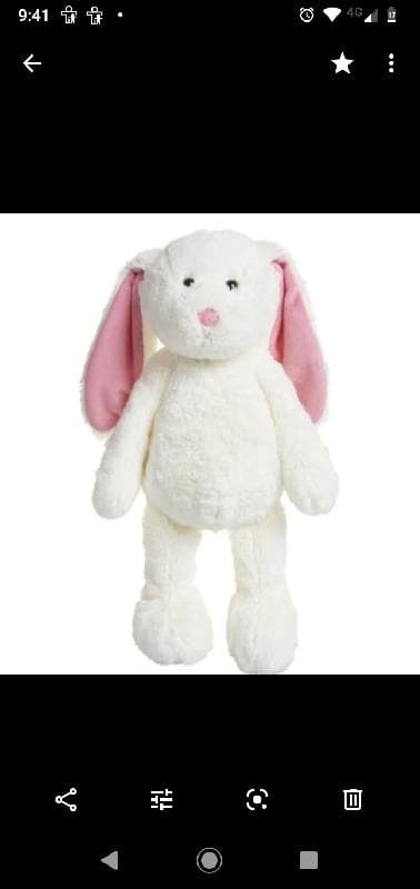 Lost — Drumchapel shopping centre 