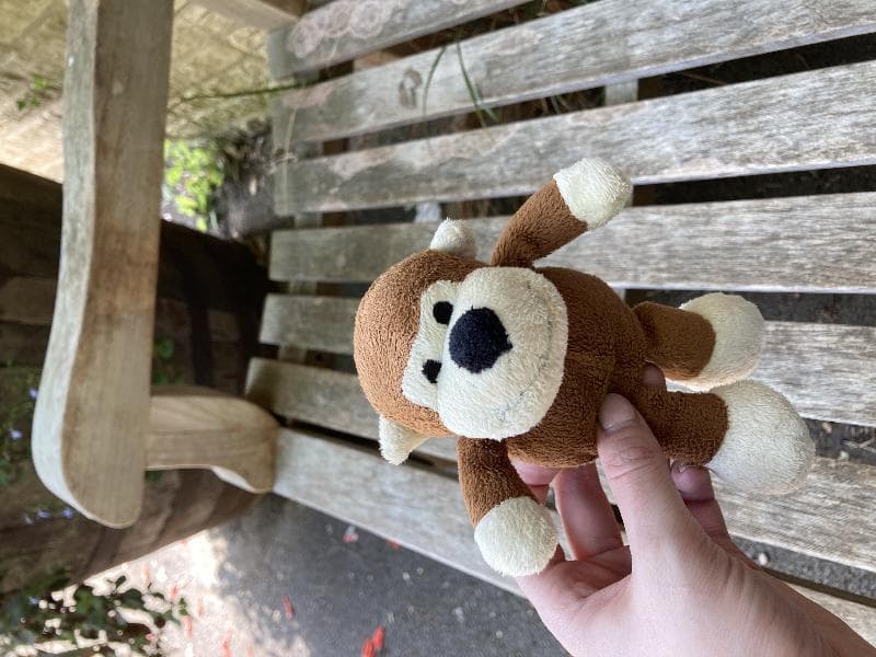 Found — Cotswold Wildlife Park