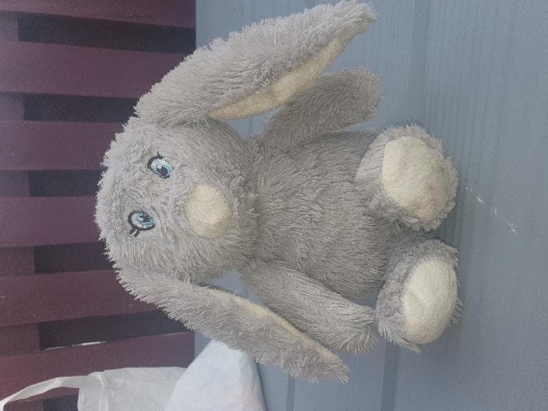 Found — Chadderton Hall park