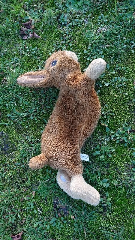 Found — Rickmansworth Park, WD3
