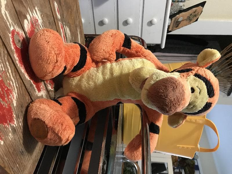 Found — Salt Spring Island, BC, Canada