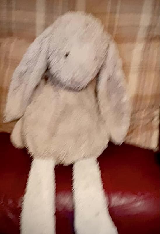 Found — Holtspur Park Beaconsfield Bucks