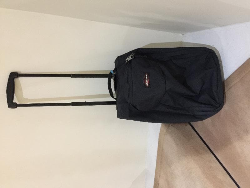 Lost — REWARD £100. CRANLEY GARDENS SW10