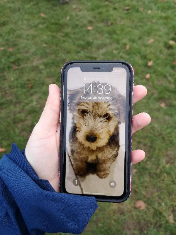 Found — Oaks park, sutton