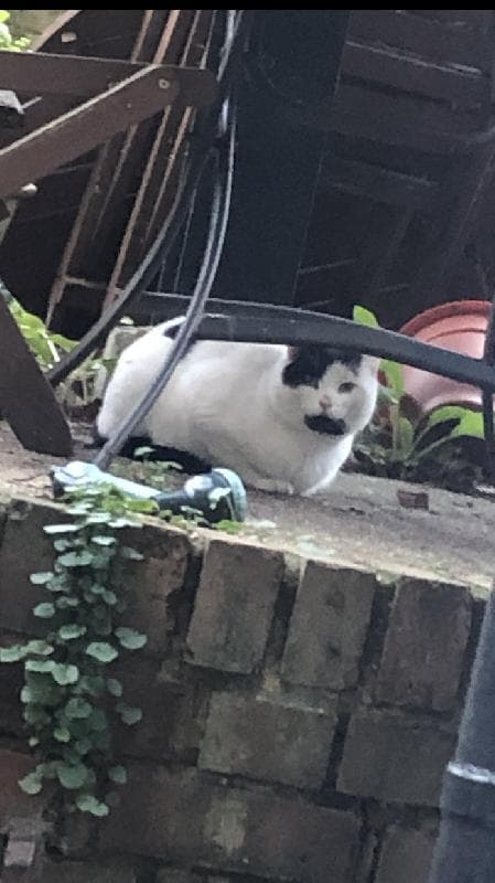 Found — N5
