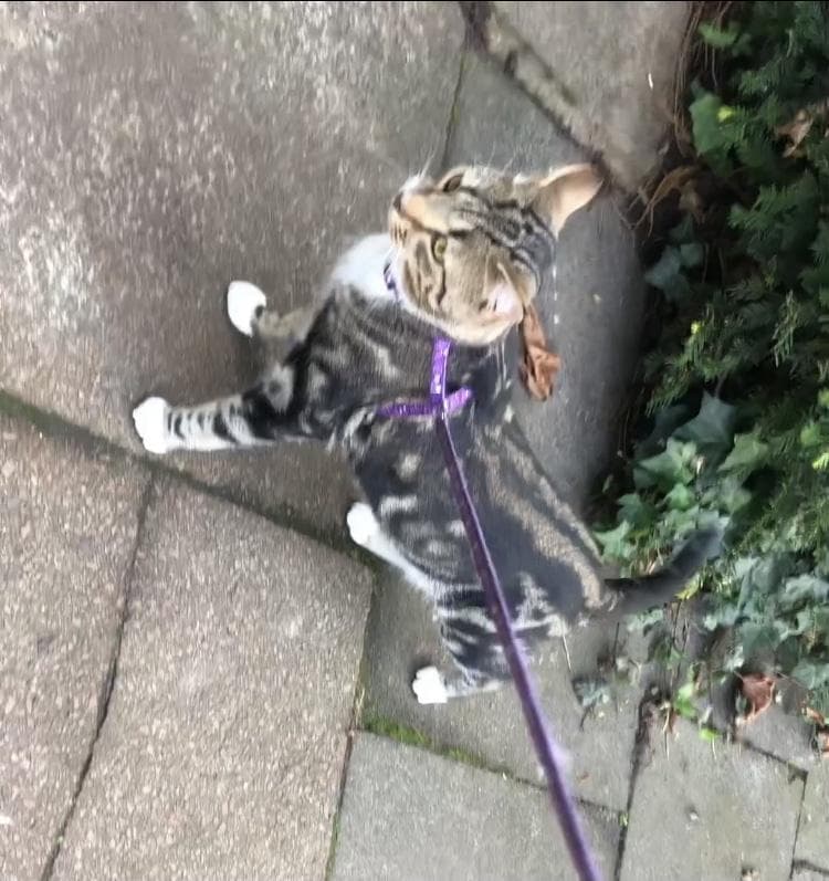 Lost — Finchley