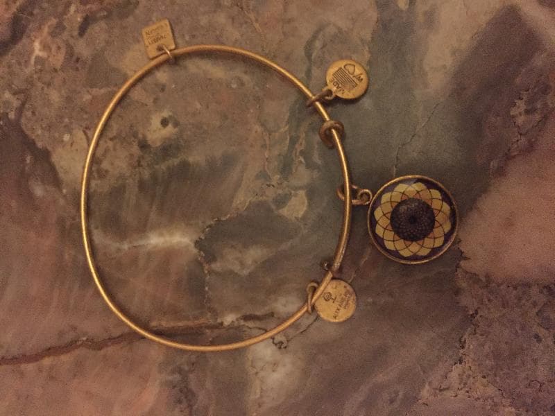 Found — hyde park